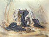 KARBALA عصر عاشورا